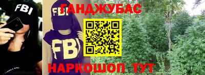 гидра Краснодар