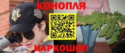 гидра Краснодар