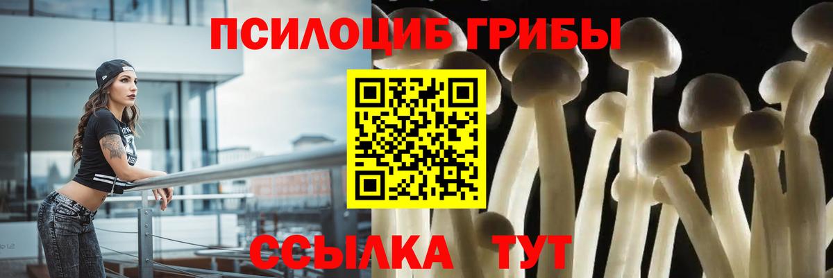 Еманжелинск  Псилоцибиновые грибы мицелий  Вход с VPN 